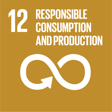 ODS 12 — Consumo e Produção Responsáveis