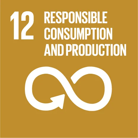 ODS 12 — Consumo e Produção Responsáveis